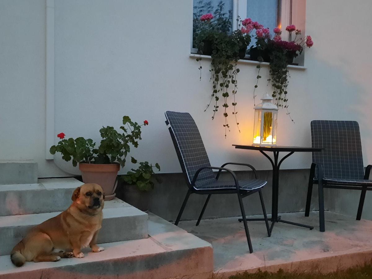 Studio Apartman Marta Korenica Luaran gambar