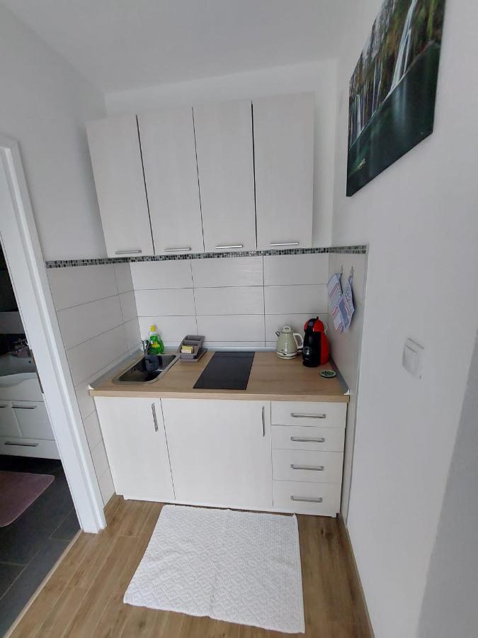 Studio Apartman Marta Korenica Luaran gambar